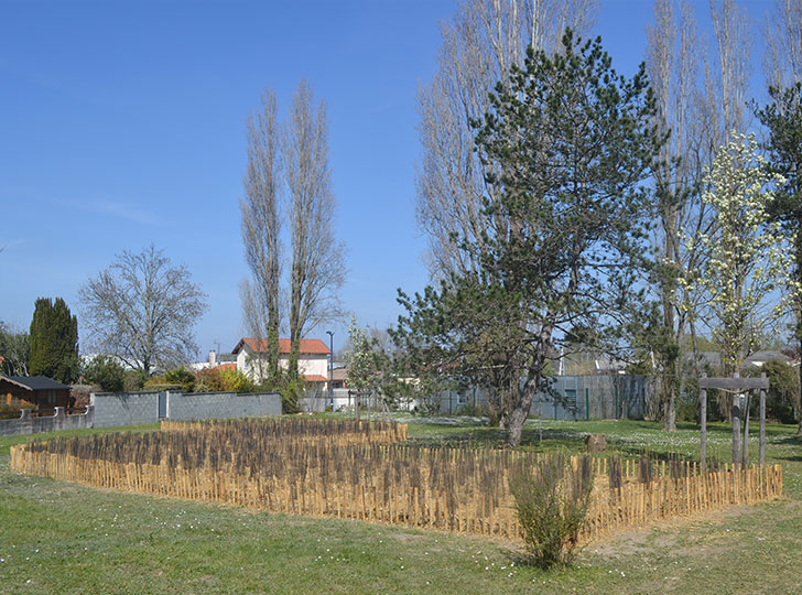 Mini-forêt urbaine - rue Bergson (mars 2021)